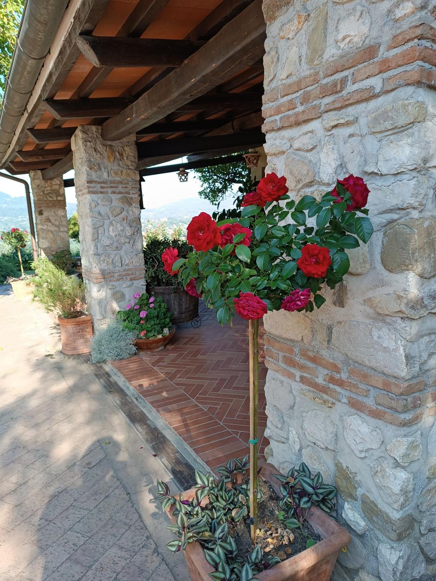 Santa Lucia B&B Caiazzo Exterior foto